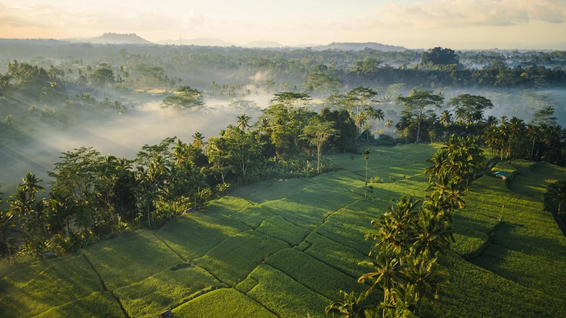 Ubud Mas Glamping Luxury Tent